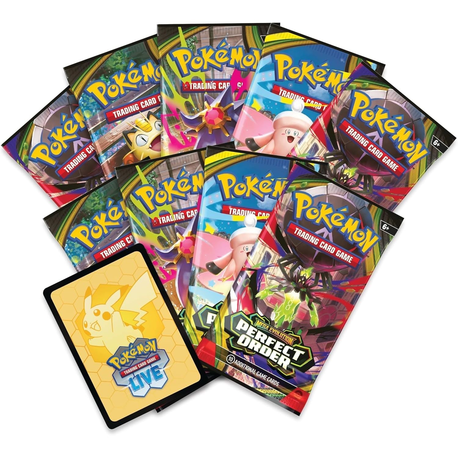 Perfect Order Elite Trainer Box